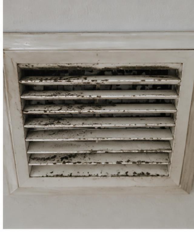 Antes — grelha de ventilação com mofo