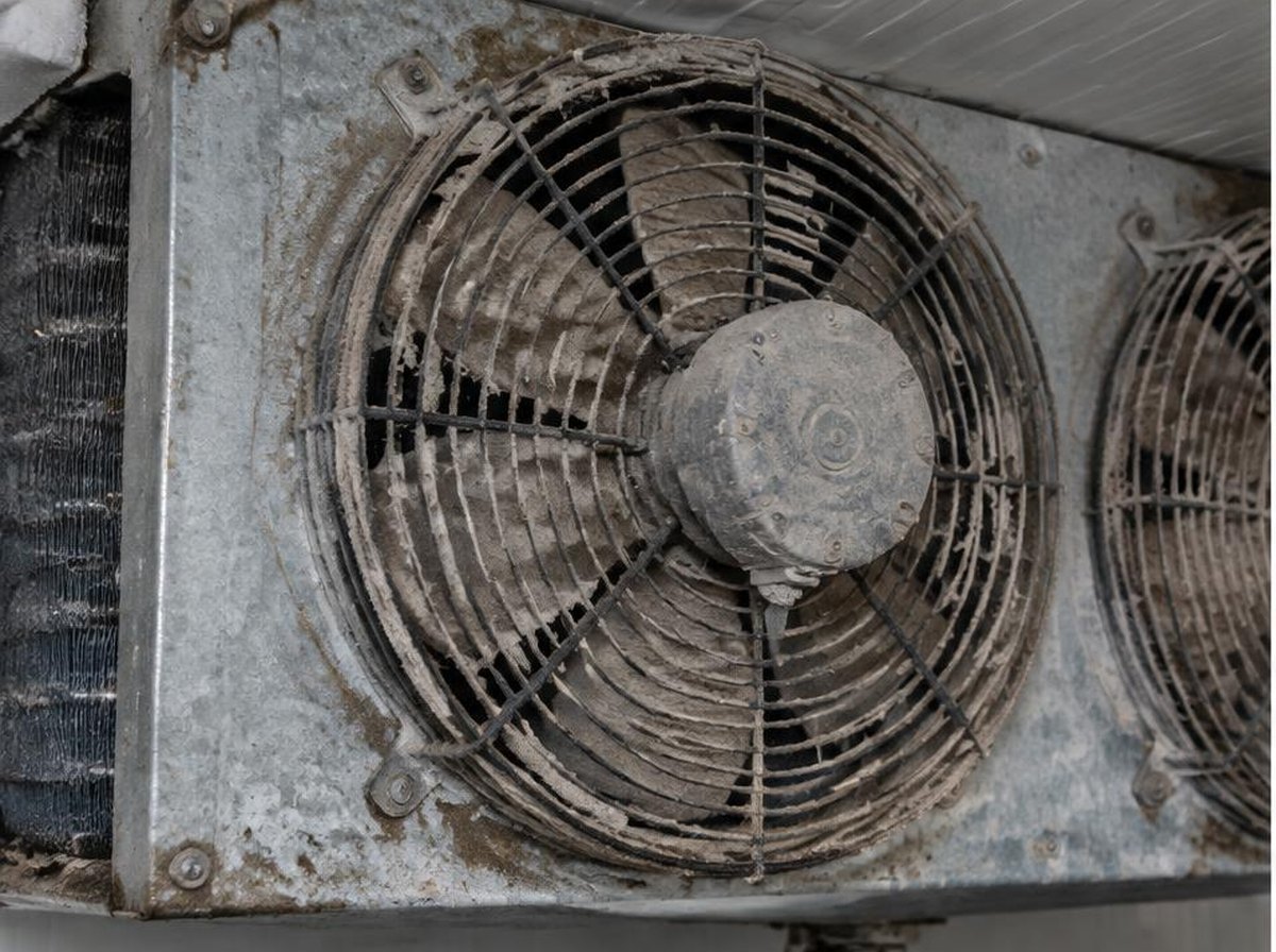 Evaporador de câmara fria antes do serviço